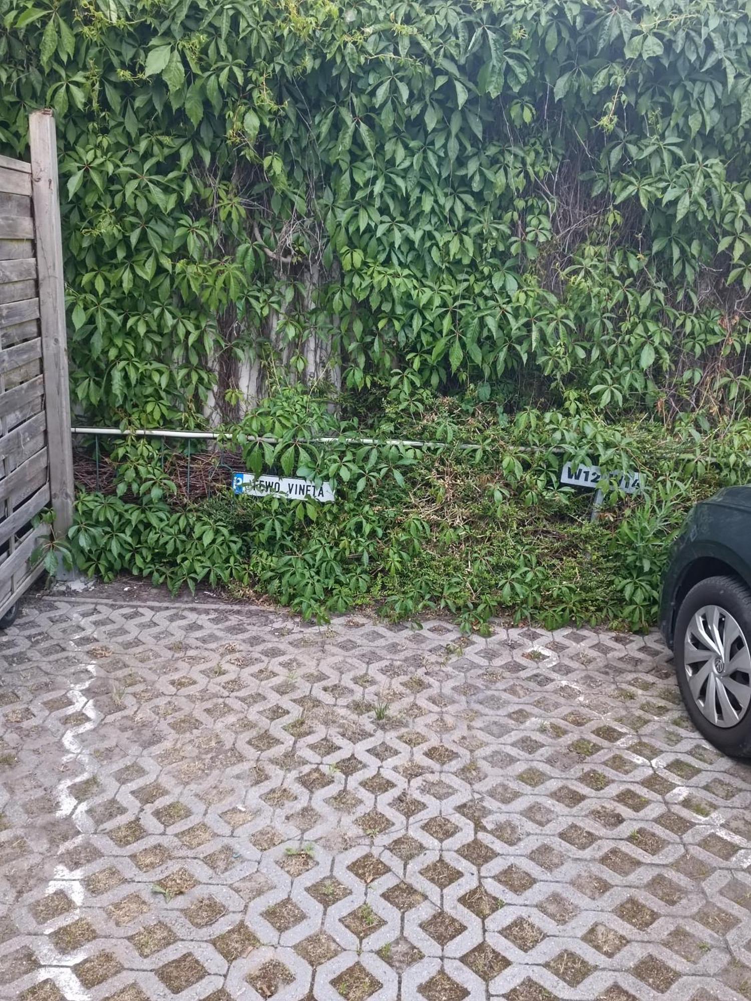 Fewo Vineta Барт Экстерьер фото